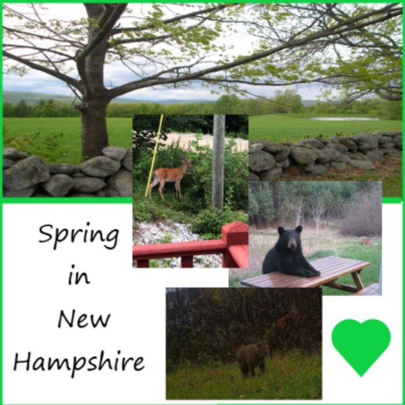 ☆ Woohoo ! Made It To 500,000 ☆ - Picture 3 of 11